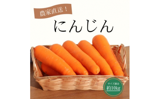 sd1_f62f6d06fc4aa3e2a0bdc5f253