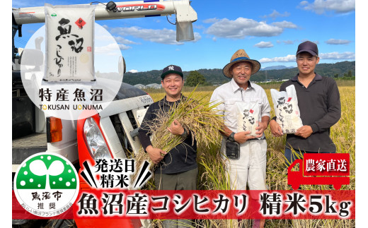 yVsz[5762-0236]ߘa7NY _ƒI Y RVqJ  5kg i  Ђ   R YRVqJ  V YЂ   j V