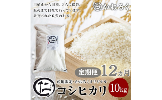 y쌧cszyցzIRVqJ m 12Ał͂I10kg@˂낭  Ђ   cs V 10L  [5312-0794]