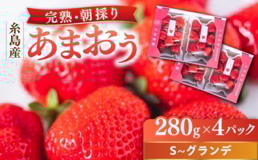 yszystz_ƒI Y n܂ 280g×4pbN (S-GTCY) y2026N3ȍ~z s / ͔_ t[c   [AJN004]