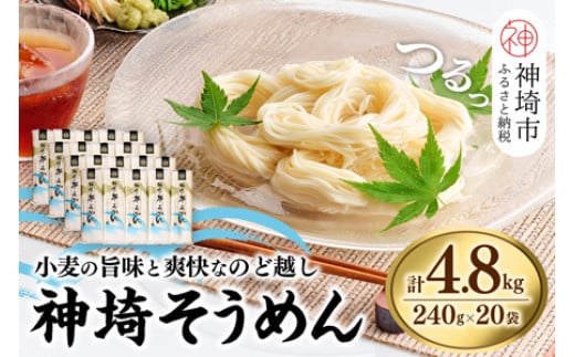 神埼そうめん(240g×20袋) 【そうめん 麺 神埼 めん 素麺 佐賀特産品 かんざき 九州 佐賀 ギフト 贈答用 名産品】(H020101) -  佐賀県神埼市｜ふるさとチョイス - ふるさと納税サイト