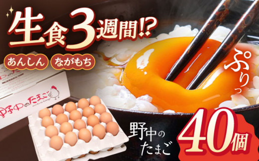 sd1_c1d2828da81f732bdf50aa672e