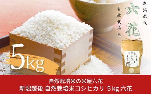 新米】新潟越後 自然栽培米コシヒカリ 5kg 令和6年産米 2024年産米 数量限定 新米こしひかり 有機JAS認証【017S060】 -  新潟県三条市｜ふるさとチョイス - ふるさと納税サイト