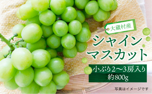 大蔵村産　シャインマスカット　小ぶり2～3房入り　約800g