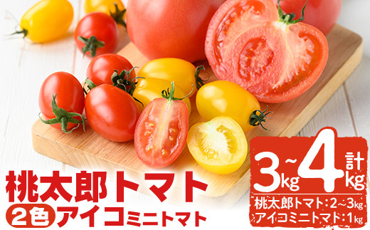 K-107  ＜期間限定！2024年2月上旬～4月中旬の間に発送予定＞農家直送トマト合計3～4kgセット！桃太郎トマト2kg～3kgと(アイコ)ミニトマト1kg(2色)【夢源FARM】国産  野菜 やさい トマト とまと ミニトマト 完熟