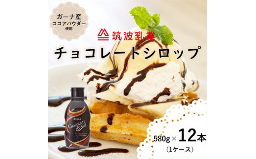 y錧Ήszyeʁz`R[gVbv 580g × 12{ i `R[g\[X j `R `R[g `R[gVbv ACX ACXN[ e K[iY RRA pE_
