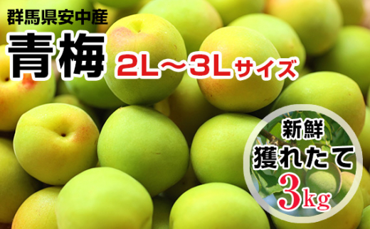 ふるさと納税「梅シロップ」の人気返礼品・お礼品比較 - 価格.com