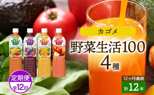 定期便 12ヵ月連続 カゴメ 野菜生活100 飲み比べセット スマートPET 720ml 4種 計12本 オリジナル ベリーサラダ マンゴーサラダ  アップルサラダ 野菜 果実 ミックスジュース 野菜ジュース フルーツジュース フルーツ 飲料 KAGOME 送料無料 那須塩原市 ns038-035