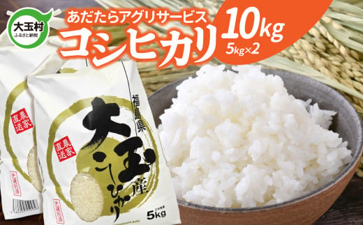 米 10kg コシヒカリ （5kg×2袋） 《 令和6年産 》 新米 ｜ 福島県 大玉村 米作り 精米 白米 安達太良山 あだたらアグリサービス ｜  as-kh10-R6 - 福島県大玉村｜ふるさとチョイス - ふるさと納税サイト