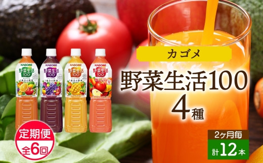 定期便 2ヵ月毎全6回 カゴメ 野菜生活100 飲み比べセット スマートPET 720ml 4種 計12本 オリジナル ベリーサラダ マンゴーサラダ  アップルサラダ 野菜 果実 ミックスジュース 野菜ジュース フルーツジュース フルーツ 飲料 KAGOME 送料無料 那須塩原市 ns038-034