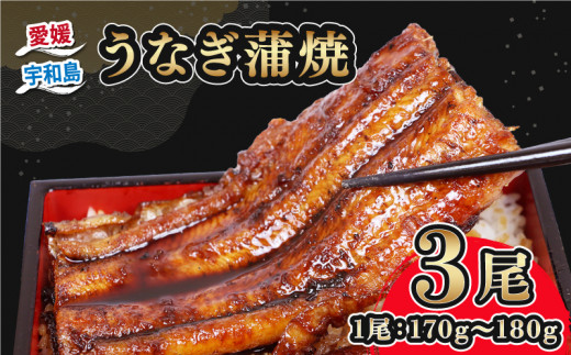 うなぎ国産 うなぎ蒲焼 170 ~ 180g 3尾 タレ付き タレ 蜂蜜 入り 河野鮮魚店 手作り 高級 鰻 うなぎ ウナギ unagi 養殖 本格 鰻蒲焼  国産鰻 国産ウナギ 頭付き 蒲焼 蒲焼き 国産うなぎ うな重 ひつまぶし 冷凍 パック 国産 愛媛