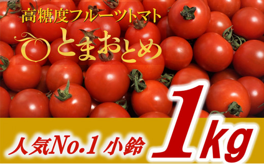 栃木県 鹿沼産 高糖度フルーツトマト ”とまおとめ” 人気No.1品種