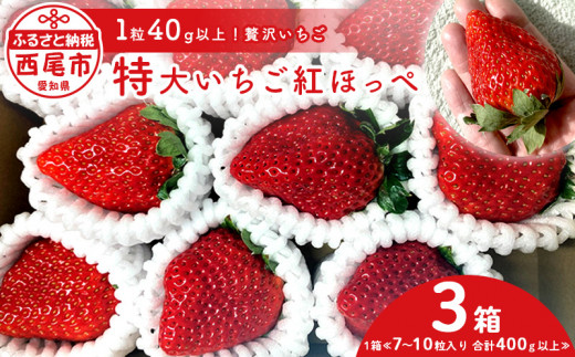 特大いちご(紅ほっぺ) 400g以上(7～10粒、1粒40g以上) ×3箱・O042 - 愛知県西尾市｜ふるさとチョイス - ふるさと納税サイト