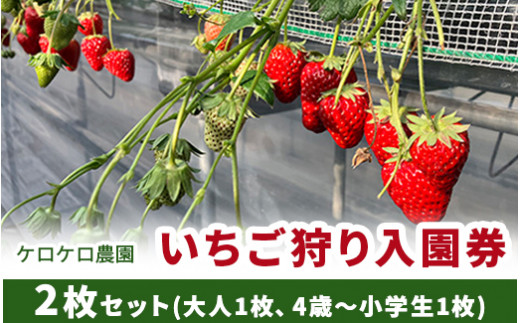 いちご狩り入園券2枚セット(大人1枚、4歳～小学生1枚) ※離島への配送不可 - 茨城県土浦市｜ふるさとチョイス - ふるさと納税サイト