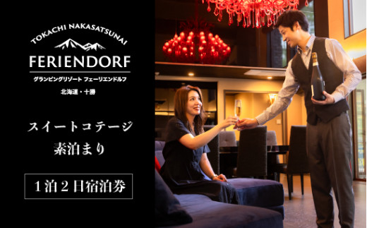 グランピングリゾート スイートコテージ 1泊2日宿泊券 [N60-3