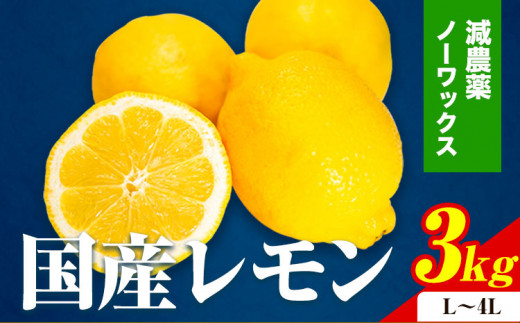 先行予約】厳選 黒潮レモン 3kg+90g （傷み補償分）【和歌山有田産