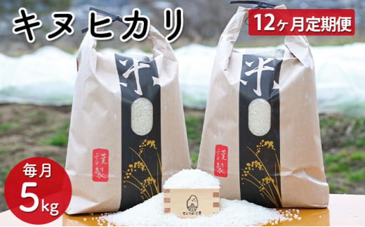 12ヵ月定期便】兵庫県佐用町産 お米 5kg×12ヵ月（計60kg）キヌヒカリ 精米 - 兵庫県佐用町｜ふるさとチョイス - ふるさと納税サイト