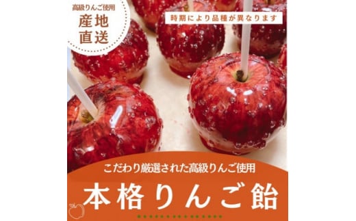 こだわり厳選された高級りんごを使用した本格りんご飴 5個