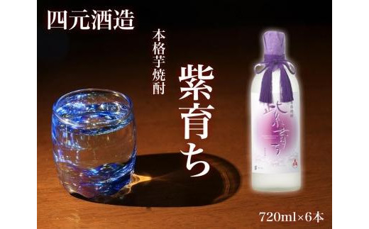 【四元酒造】島黒 900ml×12本セット（アルコール分25％）【焼酎