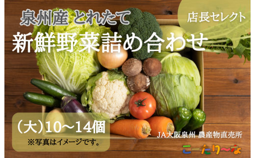 【大阪府泉佐野市】JA大阪泉州 直売所店長セレクト 新鮮野菜セット【10〜14個 詰め合わせ 泉佐野産 とれたて 新鮮野菜 やさい 高評価 数量限定】
