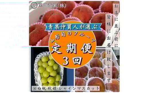 yR`R`szy3zʒlIԁIR`{̃t[c3II[EHPEVC}XJbg]yߘa8NYs\zFS24-599  ʕ t[c R` R` R`s 2026N