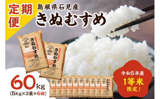 定期便】【令和5年産】石見産きぬむすめ 1年分 60kg 12ヶ月（5kg×12回