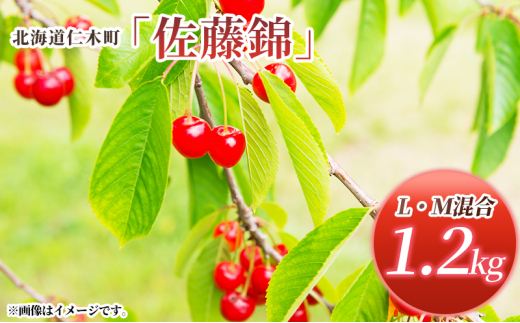 ykCmؒzst kC mؒY   1.2kg (300g×4pbN) L-MTCY  {  Yn TN{ `F[ t[c ʕ ʕ mؒ m [RX]