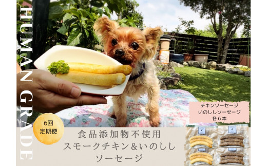 FB021 　犬の無添加おかず☆燻製の香りがたまらないスモークチキン＆いのししソーセージ【6回定期便】