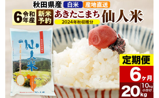 新米 令和6年産 米 お米 20kg （5kg×4袋） 楽しい あきたこまち 秋田