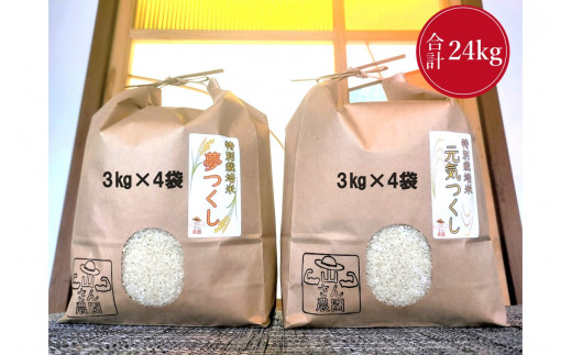 贈り物 福岡県産 元気つくし 24kg 食品