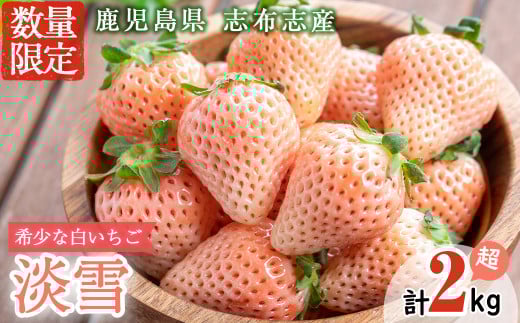 yuzuszYIʍ͔|_Y ̑璩E݁uWv8PZbg(v2kgE270g×8P) e0-047