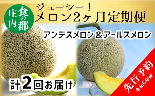 先行予約】食の都庄内【令和6年産】青肉メロン 約5kg ※令和6年6月下旬