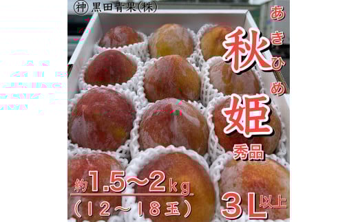 yR`R`szR`Y HP(Ђ) Gi 3Lȏ 1.5`2kg(12`18) yߘa8NYs\zFU23-443  ʕ t[c R` R` R`s 2026NY