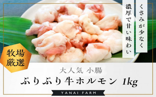 yꌧRzqǂȂ߂炩r ՂՂz 1kg()yR[Q   ՂՂ e ē   Xύ  pbNzK081026