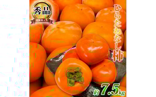 ya̎RV{sza̎RH̖o j`iЂ炽˂Ȃj 7.5kg 2025N10{`2025N10i͂wsj / `  ʕ  t[c a̎Ryuot700A