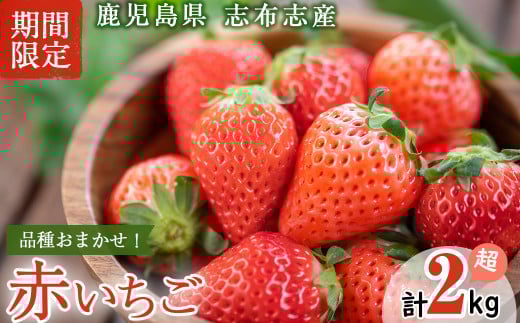 yuzuszYI i킨܂Ԃ8PZbg(v2kgE270g×8P) c0-016