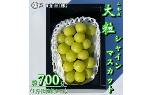 yR`R`szR`Y VC}XJbg Gi 700g(1[ϔ) yߘa8NYs\zFU23-418  ʕ t[c R` R` R`s 2026NY