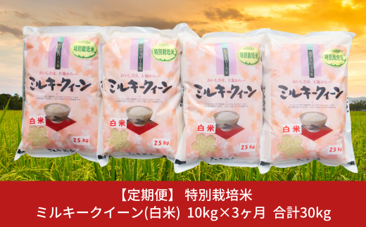 特別栽培米 ミルキークイーン 10kg（2.5kg×4） 玄米 新潟県産 令和5