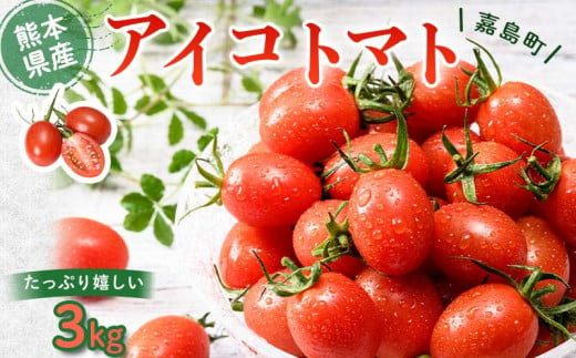 FKK19-749 【先行予約】 嘉島町産アイコトマト3kg ※2024年11月中旬より順次発送 もぎたて 産地直送 産直 有機肥料 甘い  フルーティー ミニトマト プチトマト リコピン 新鮮 フレッシュ サラダ 朝食 野菜 食品 - 熊本県嘉島町｜ふるさとチョイス - ふるさと納税サイト