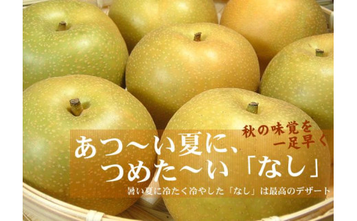 ふるさと納税「産地直送 梨」の人気返礼品・お礼品比較 - 価格.com