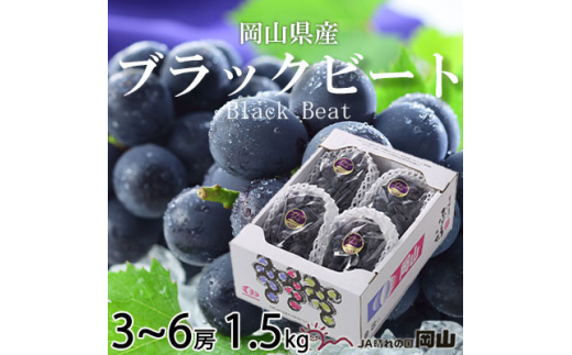 【岡山県津山市】<先行受付>岡山県産 ブラックビート 1.5kg(3房〜6房)_ぶどう 葡萄 ブドウ ブラックビート 果物 くだもの フルーツ 甘い 岡山県 津山市 贈答 ギフト プレゼント 家庭用 産