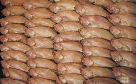 ys{{Îszyӂ邳Ɣ[Łz|݂ՂGeJC@( 4C) L  銱 GeJC  Ђ Zbg {   т̂ { [5716-0161]