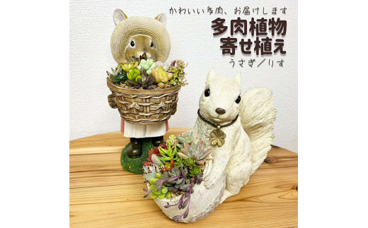 y錧É͎szÅ񂹐Ai肷j| ϗtA A O[  񂹐A  A Mtg  蕨 v[g j  _ƒ 錧 É͎s  _FC09