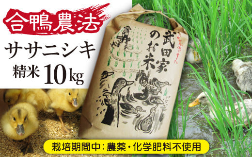 令和５年度産》武田家のお米 ササニシキ（精米）10kg＜合鴨農法＞【米農家 仁左ェ門】 / 米 白米 ５キロ ２袋 アイガモ -  岩手県滝沢市｜ふるさとチョイス - ふるさと納税サイト