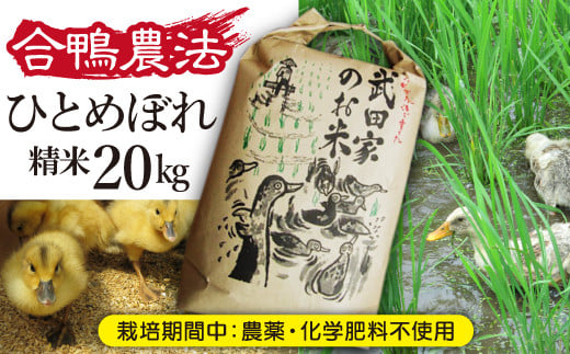 令和５年度産》武田家のお米 ひとめぼれ（精米）20kg＜合鴨農法＞【米農家 仁左ェ門】 / 米 白米 ５キロ ４袋 アイガモ -  岩手県滝沢市｜ふるさとチョイス - ふるさと納税サイト