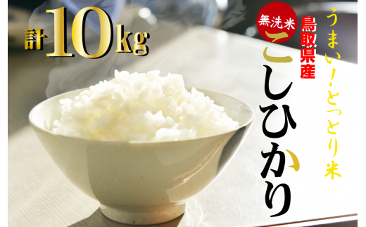 令和6年産 新米予約】＜無洗米＞鳥取県産 コシヒカリ 10kg（5kg×2） 新米 新米予約 令和6年産米 精米 お米 米 こめ コメ 白米  こしひかり コシヒカリ ブランド おいしい 健康 産地直送 米10キロ 無洗米 - 鳥取県倉吉市｜ふるさとチョイス - ふるさと納税サイト