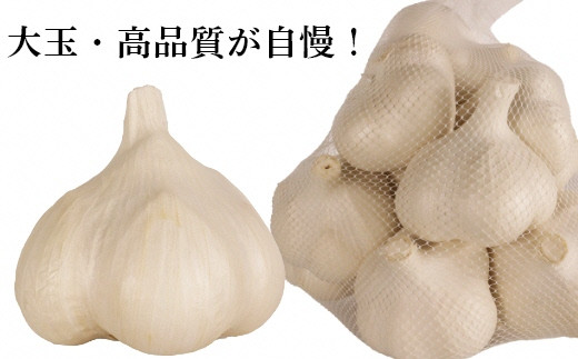 J-04 青森県産 にんにく 大9玉～11玉（約1Kg） - 青森県六戸町 