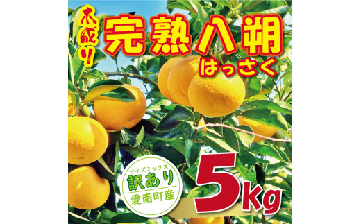 訳あり 木成り 完熟 八朔 5kg 7000円 みかん はっさく 家庭用 サイズ