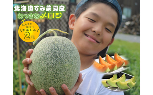 メロン農家直送　　訳あり7玉入り　　糖度は十分あります item1906.jpg