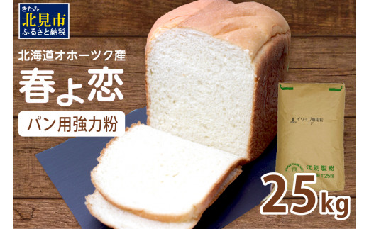 【北海道オホーツク産】パン用強力粉 春よ恋 25kg ※賞味期限30日保証 ( パン用強力粉 北海道産 小麦粉 パン 製パン )【056-0004】  - 北海道北見市｜ふるさとチョイス - ふるさと納税サイト